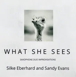What She Sees von Silke Eberhard – Album Cover