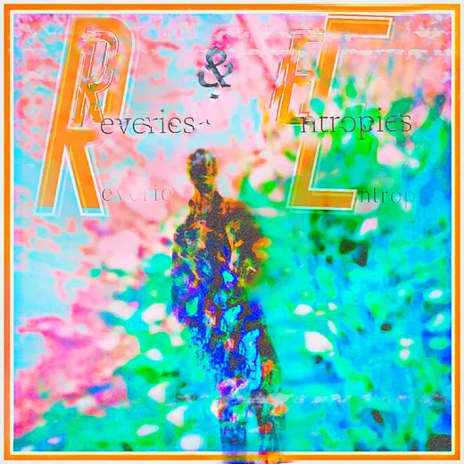 Reveries & Entropies