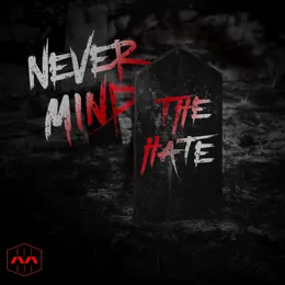 Never Mind the Hate von Methodical – Cover