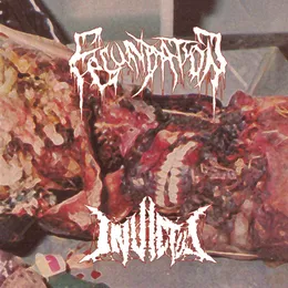 Fecundation / Invictus von Fecundation – Cover