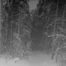 Vinterkälte (Part I) von Vinterkälte – Cover