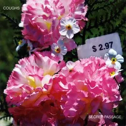 Secret Passage von Coughs – Album Cover