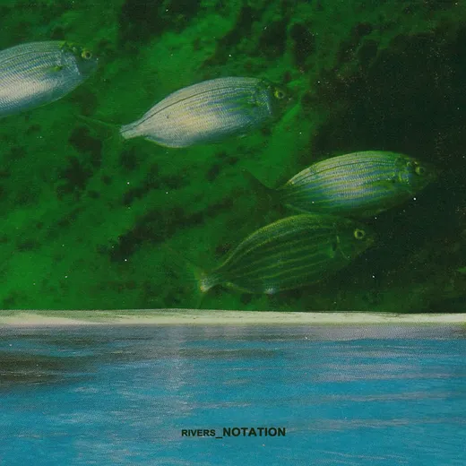 Rivers