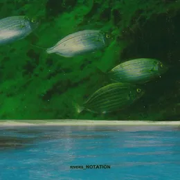 Rivers von Notation – Cover