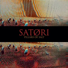 Pillars of Salt von Satori – Album Cover