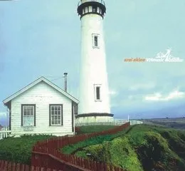 VHmusic von 新居昭乃 – Album Cover