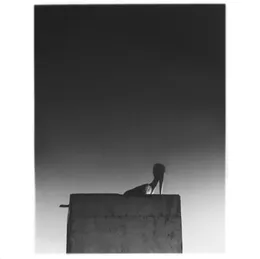 Sysivalo von Ø – Album Cover