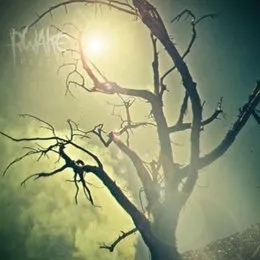 Rest von Rwake – Album Cover