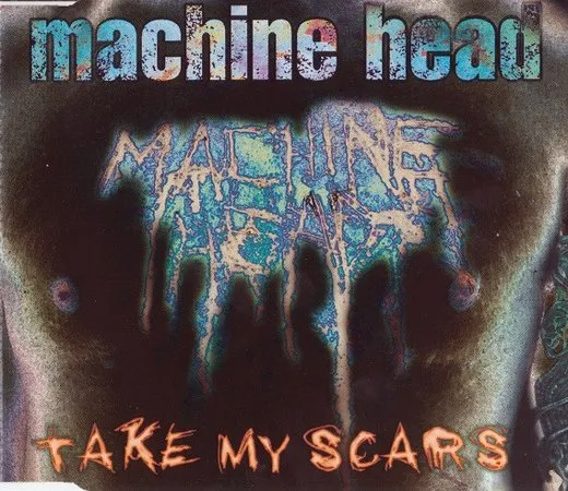 Take My Scars von Machine Head – Album Cover