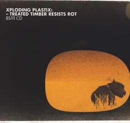 Treated Timber Resists Rot von Xploding Plastix – Album Cover