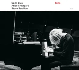 Trios von Andy Sheppard – Album Cover
