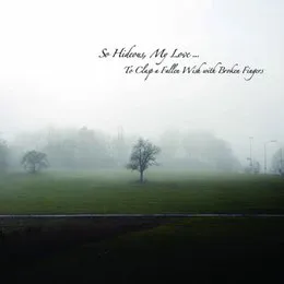 To Clasp a Fallen Wish With Broken Fingers von So Hideous – Cover