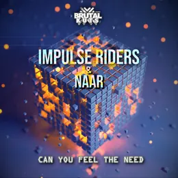 Can You Feel The Need von Impulse Riders – Album Cover