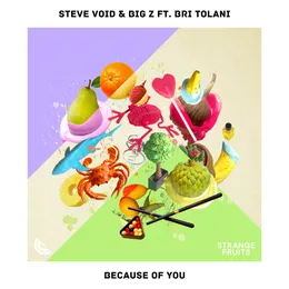 Because Of You von Steve Void – Cover