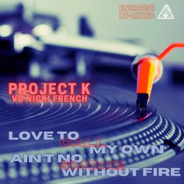Love to Call My Own / Ain't No Smoke Without Fire von Project K – Cover