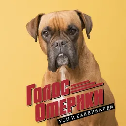 Усы и бакенбарды von Голос Омерики – Album Cover