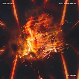 Wildfire von Steerner – Album Cover