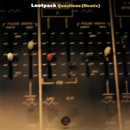 Questions (remix) / On Point von Lootpack – Cover