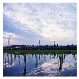 drama von [.que] – Album Cover
