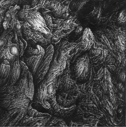 Einzig die Leere von Trübsal – Album Cover