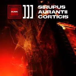 Sirupus Aurantii Corticis von Sunn ■]]] – Album Cover