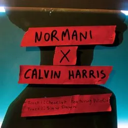 Normani x Calvin Harris von Calvin Harris – Cover
