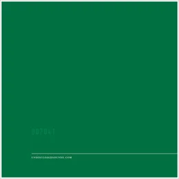 007041 von UNDISCLOSED – Cover