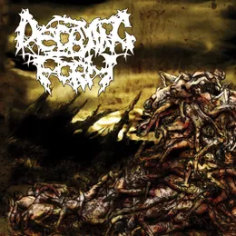 Chronicles Of Decimation von Decaying Form – Album Cover