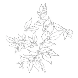 Momenta quintae essentiae von Nhor – Album Cover