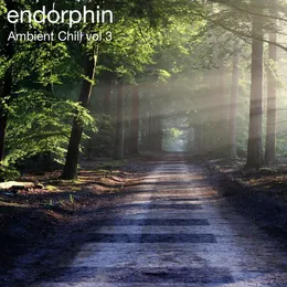 Ambient Chill Vol 3 von Endorphin – Cover
