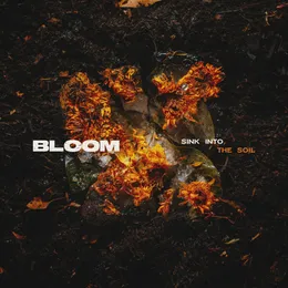 Sink Into the Soil von Bloom – Cover