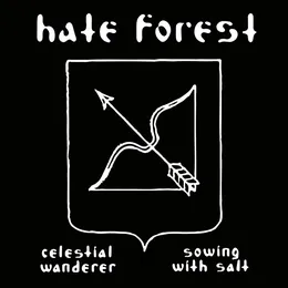 Celestial Wanderer / Sowing with Salt von Hate Forest – Cover