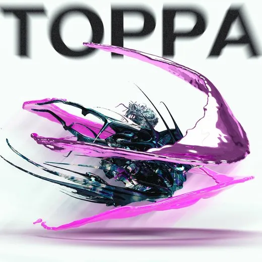 TOPPA von Paledusk – Album Cover