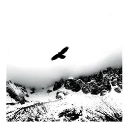 In the Cold, Cold Night von SUPERCOLLIDER – Cover