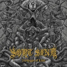 I skyggen af livet von Sort Sind – Album Cover