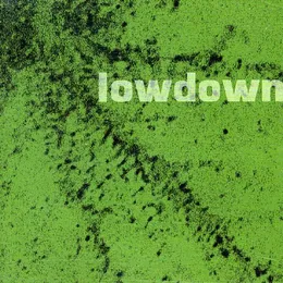 The Green EP von Lowdown – Cover