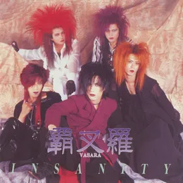 INSANITY von Vasalla – Cover