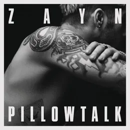 PILLOWTALK von ZAYN – Cover