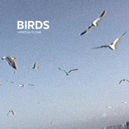 BIRDS von Savon – Cover