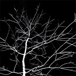 Hauntology von Suffer Ring – Album Cover