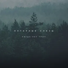Когда Нет Троп von Янтарные слёзы – Album Cover
