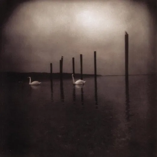 Conference of the Birds von Om – Album Cover