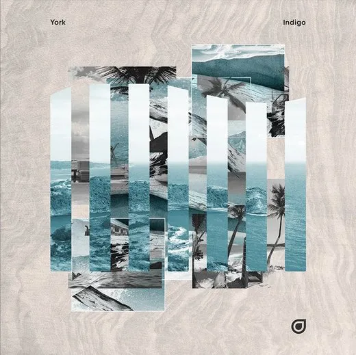 Indigo
