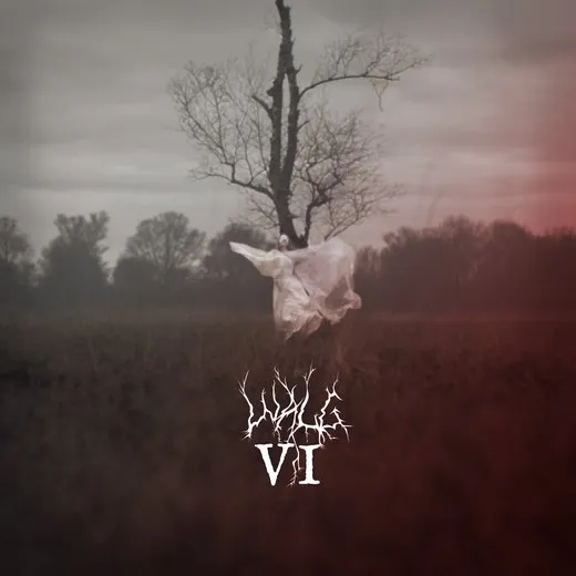 VI