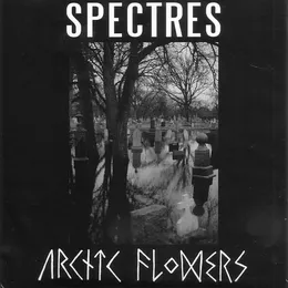 Spectres / Arctic Flowers von Spectres – Cover