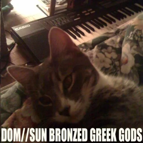 Sun Bronzed Greek Gods