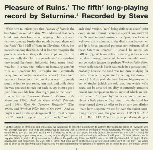 Pleasure of Ruins