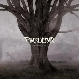 Niddikter von Fimbultyr – Album Cover