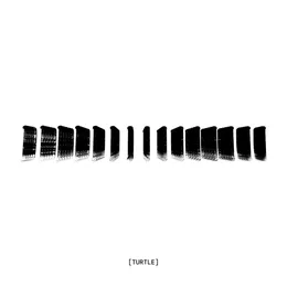 Landmass Remixed von Turtle – Album Cover