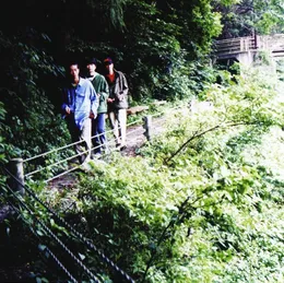 LONG SEASON von フィッシュマンズ – Album Cover